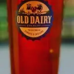 Herne Bay Festival 2026- 9