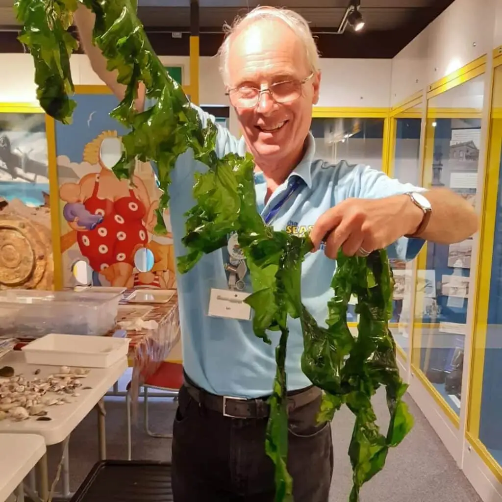 Herne Bay Festival 2026- 9