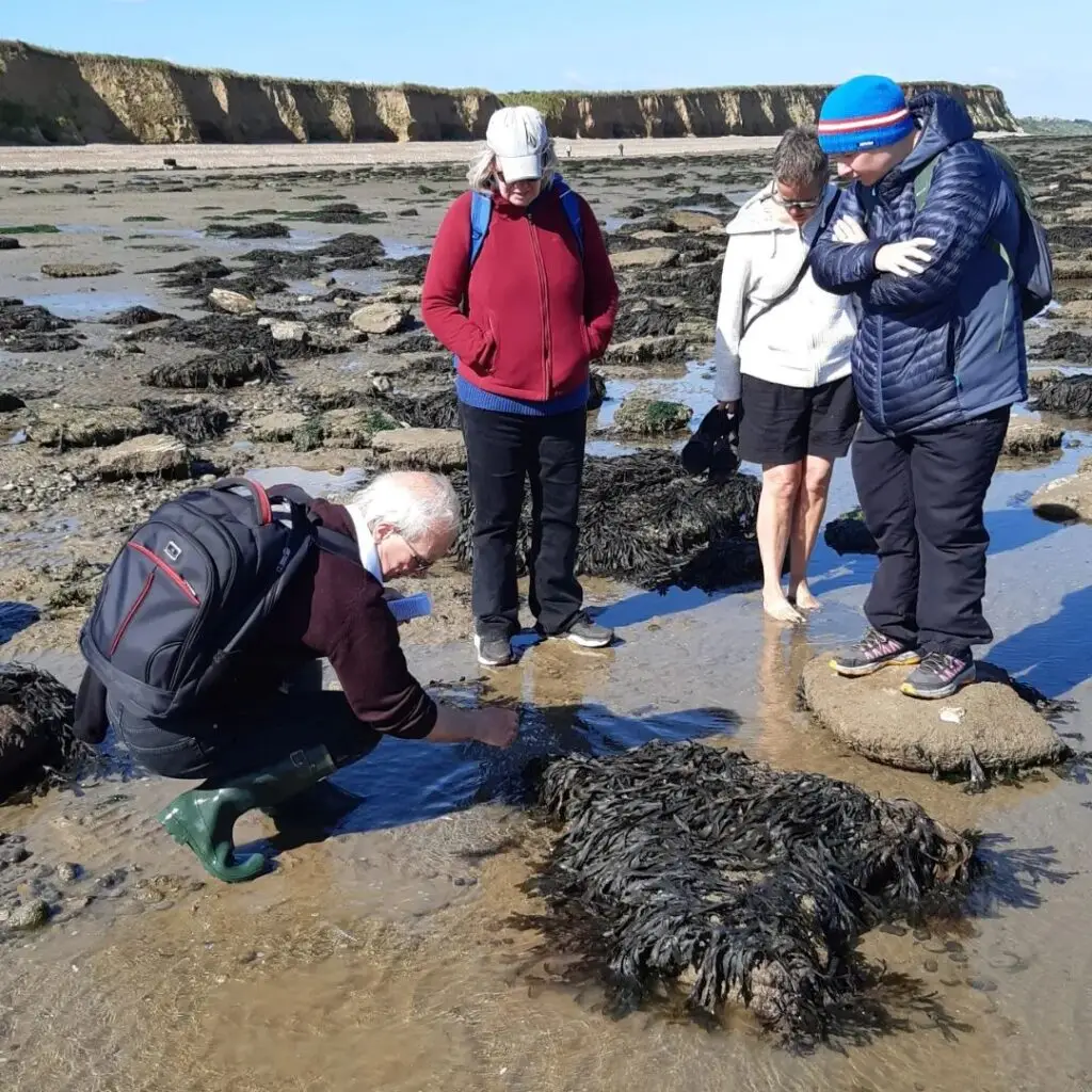 Herne Bay Festival 2026- 13