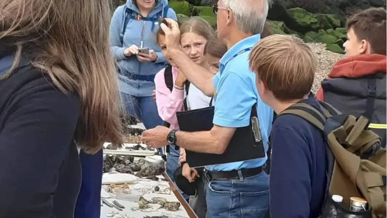 491952343_1242187281240376_8014902881128335787_n