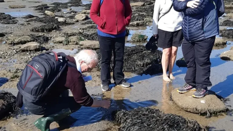 494124910_1256046499854454_885150276259656685_n