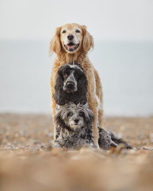 Herne Bay Festival 2021- 19