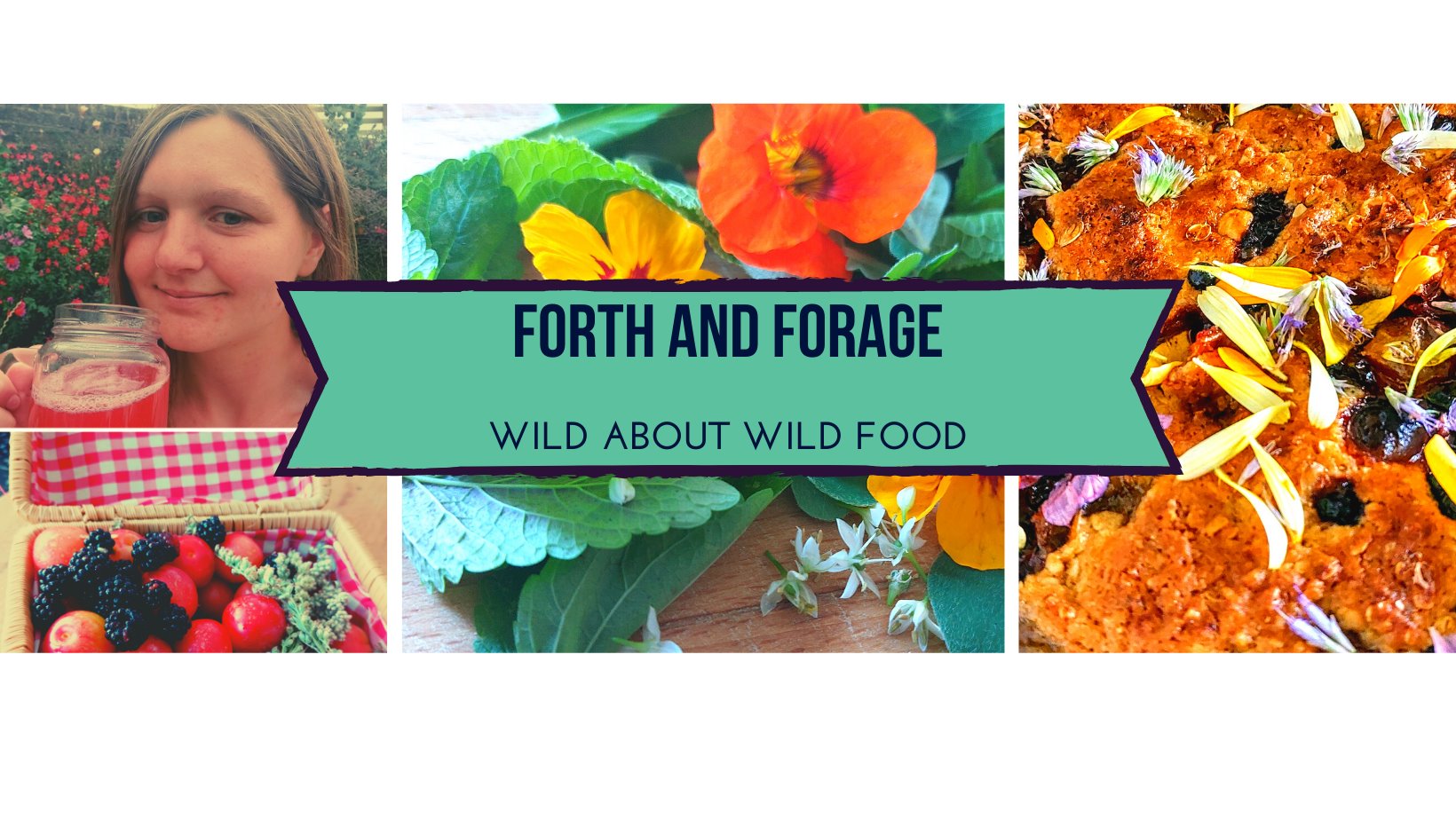 Go Forth and Forage – A Wild Food Adventure