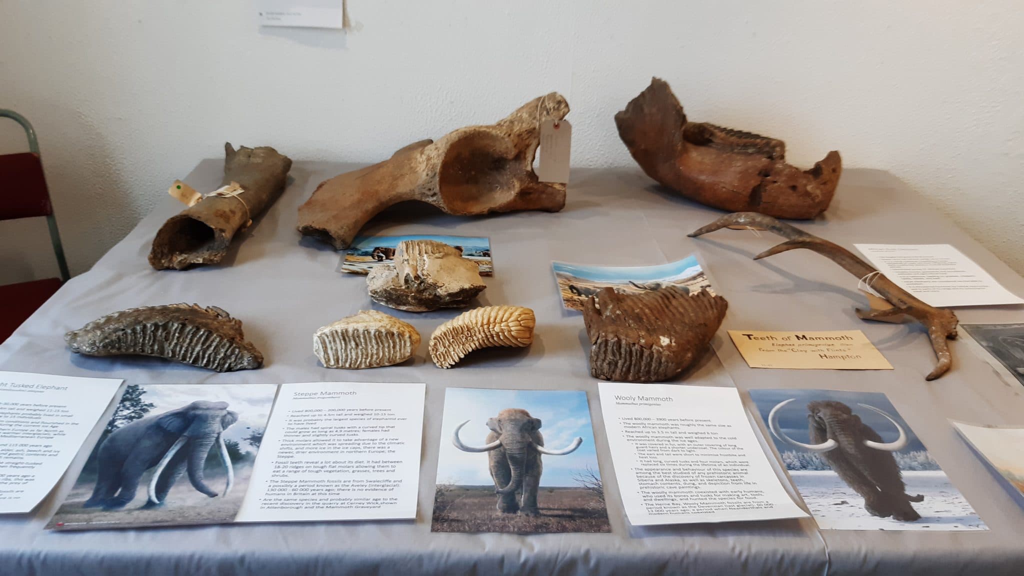 People and Beasts of the Ice Ages – Flints and Fossils