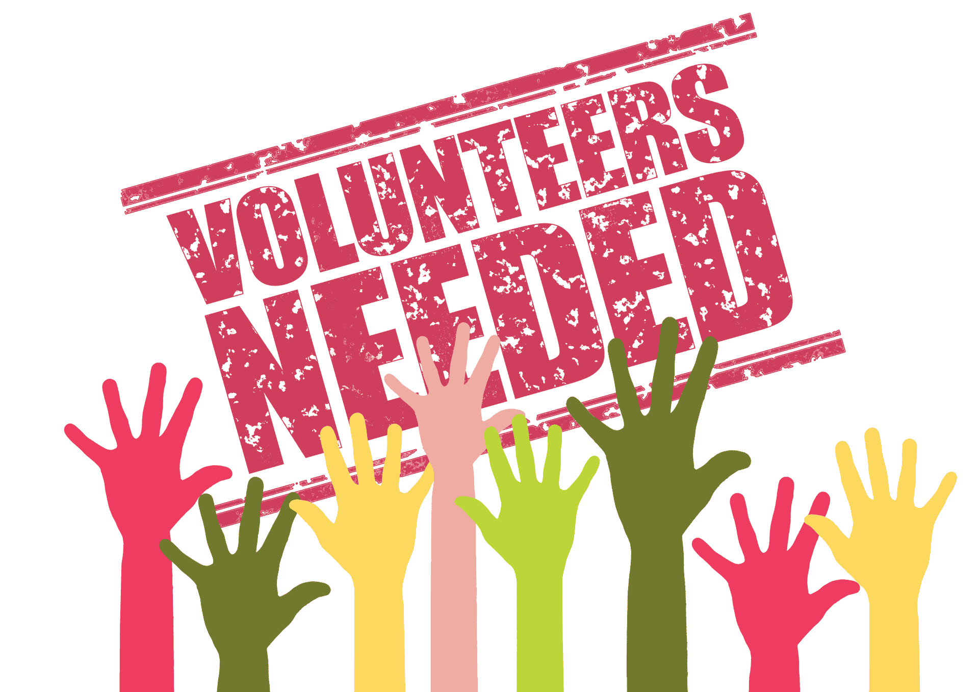 Volunteers needed for the Festival !!!!